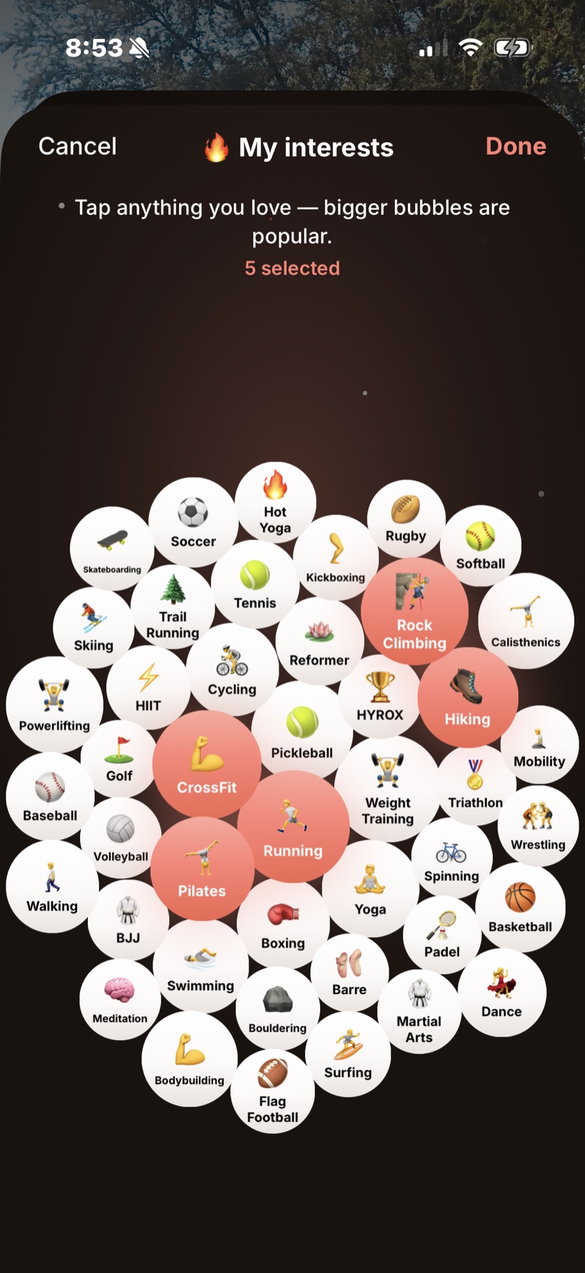 The Compa interests picker — a full cloud of tappable activity bubbles, several lit coral, under a 'Tap anything you love' header.